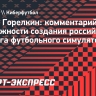 Депутат Горелкин — о российском аналоге FC 26: «Должны продвигать свои продукты дружественным странам»