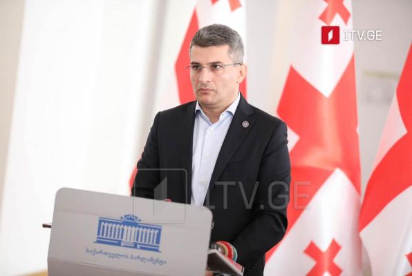 «Грузинская мечта» допустит на выборы «националов»