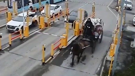 Сказочная карета встретила пассажирку Пулково