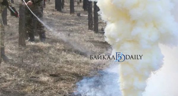В лесах Забайкальского края ввели режим ЧС