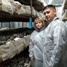 В Башкирии самозанятое производство выгоднее услуг...