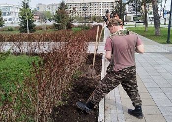 В Благовещенске стартовали работы по озеленению