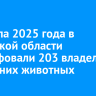 С начала 2025 года в Иркутской области оштрафовали 203 владельцев домашних животных