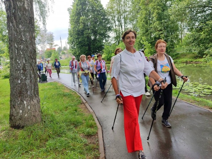В Туле прошёл фестиваль северной ходьбы «Вперед, Россия!»