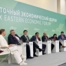 Алексей Оверчук выступил на сессии «Большое евразийское партнёрство: новые парадигмы развития континента» Восточного экономического форума