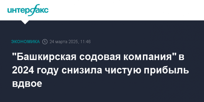 "Башкирская содовая компания" в 2024 году снизила чистую прибыль вдвое