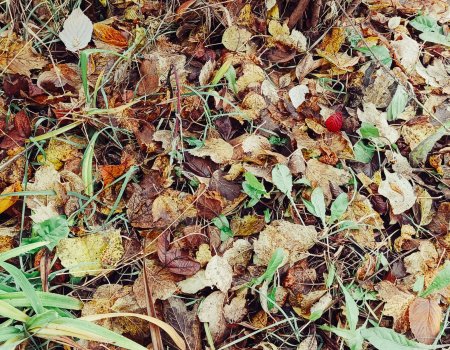 Синоптики поделились прогнозом погоды в Башкирии на начало новой недели Синоптики поделились прогнозом погоды в Башкирии на начало новой недели