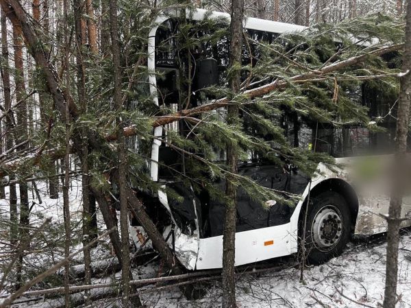 Прокуратура взялась за ДТП с 4 пострадавшими в Иркутской области