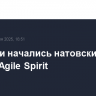 В Грузии начались натовские учения Agile Spirit