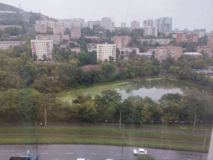 Озеро в парке Минного городка превращается в болото