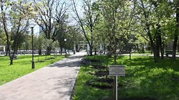Судьи КЧР высадили аллею памяти к 80-летию Победы