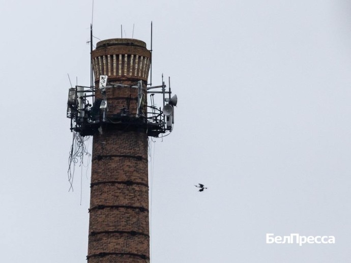 21 украинский беспилотник уничтожили в Белгородской области