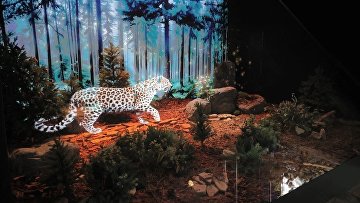 Выставку "Путешествие по России" можно посмотреть из любой точки мира Выставку "Путешествие по России" можно посмотреть из любой точки мира