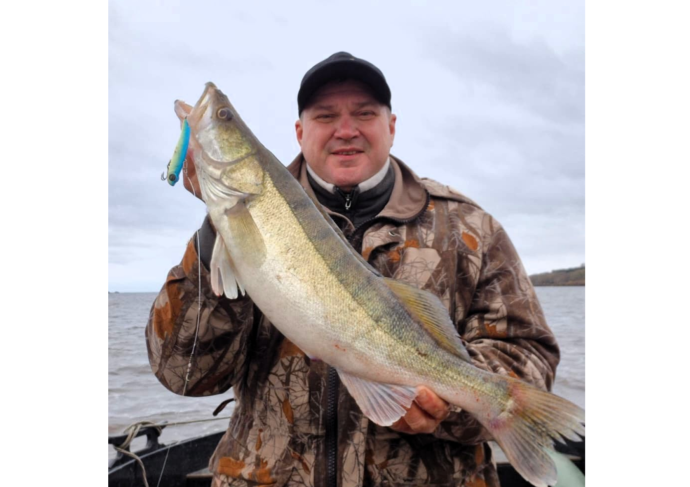 «53 волны»: как идет ловля в Волхове и Ильмене?