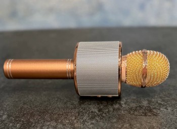 Ведущими «Интервидения» будут индийская актриса и китайский телеведущий