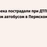 22 человека пострадали при ДТП с рейсовым автобусом в Пермском крае