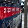 Глава СК России поручил возбудить уголовное дело о халатности полицейских в Приморье