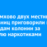 В Черемхово двух местных жительниц приговорили к 10 и 12 годам колонии за торговлю наркотиками