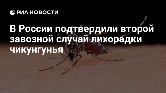 В России подтвердили второй завозной случай лихорадки чикунгунья