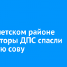В Тайшетском районе инспекторы ДПС спасли раненую сову