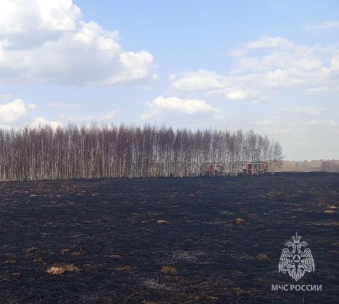В Ярославской области за сутки пожарные потушили 41 пал сухой травы