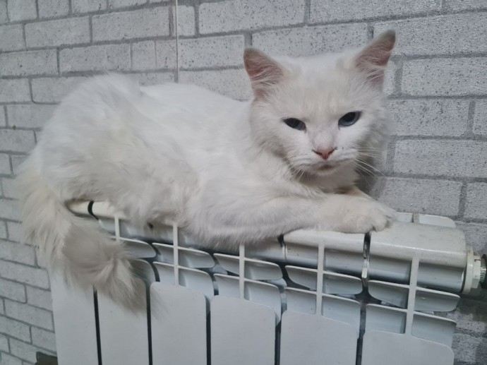 Белгородцы стали в 13 раз реже жаловаться на отопление Белгородцы стали в 13 раз реже жаловаться на отопление