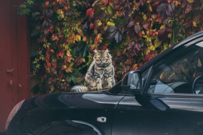 Метеорологи: рабочая неделя в Пермском крае пройдет практически без осадков Метеорологи: рабочая неделя в Пермском крае пройдет практически без осадков