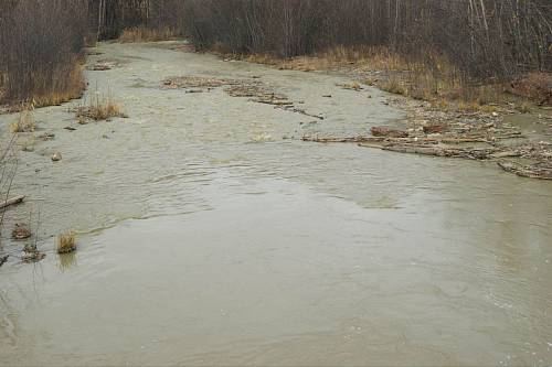 В Приамурье оштрафовали золотодобытчика, который использовал реку для строительства гидросооружений В Приамурье оштрафовали золотодобытчика, который использовал реку для строительства гидросооружений