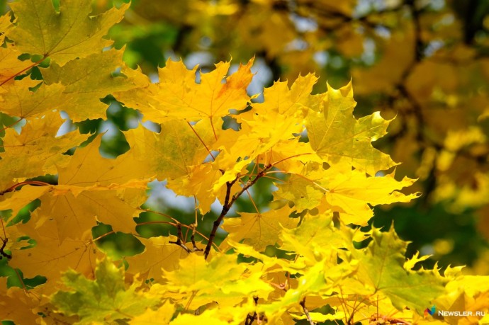 22 сентября наступит осеннее равноденствие