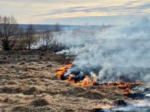 В Мордовии в ближайшую неделю вырастет риск возгораний из-за сухой и теплой погоды