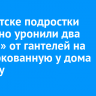 В Иркутске подростки случайно уронили два «блина» от гантелей на припаркованную у дома машину