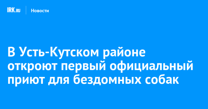 В Усть-Кутском районе откроют первый официальный приют для бездомных собак
