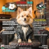 В Уфе пройдет музыкальный фестиваль в защиту животных