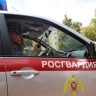 В Мордовии за неделю росгвардейцы 79 раз выезжали по сигналу "Тревога"