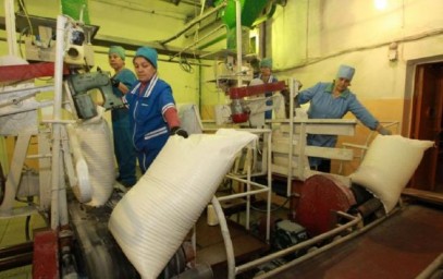 После загрязнения реки стоками Раевского сахарного завода возбудили дело