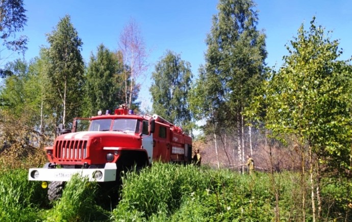 Лесной пожар в Костромской области тушили больше 8 часов