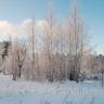 ​Метеорологи предупредили о 30-градусных морозах в Пермском крае