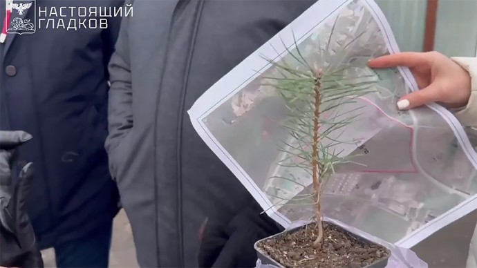 В белгородской Сосновке высадят 80 тысяч саженцев