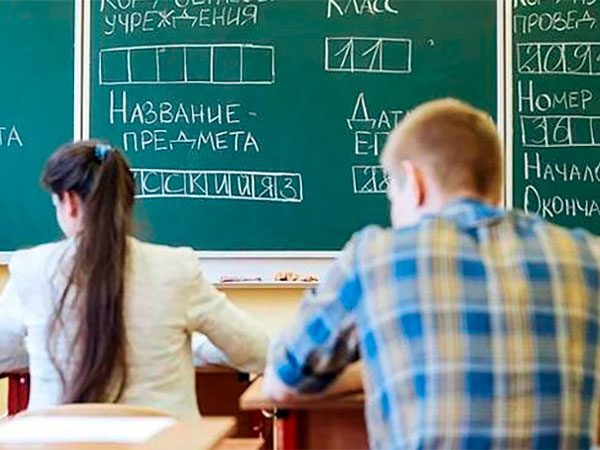 Результаты ЕГЭ-2025 на портале госуслуг запросили уже более миллиона раз