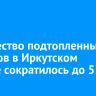 Количество подтопленных участков в Иркутском районе сократилось до 53