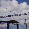 Башкирия первой в РФ будет производить сухое молоко для детского питания