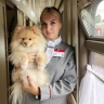 Более 3,8 тыс. домашних питомцев без сопровождения хозяев перевезено на ПривЖД за 9 месяцев 2025 года