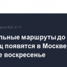 Специальные маршруты до кладбищ появятся в Москве в Вербное воскресенье