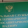 Предприятие в районе Бурятии накажут рублём за опасную тушёнку
