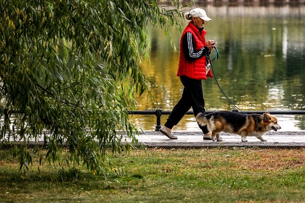 Кинолог рассказал о развитии инфраструктуры для владельцев собак в Москве Кинолог рассказал о развитии инфраструктуры для владельцев собак в Москве