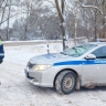 К новгородским сотрудникам ДПС присоединился необычный коллега