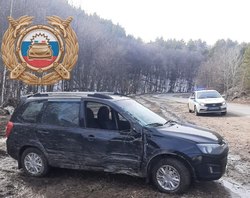 Во въехавшей в дерево "Калине" пострадала девятилетняя девочка
