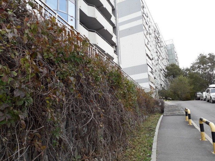 Погода во Владивостоке: октябрь-2025 холоднее нормы Погода во Владивостоке: октябрь-2025 холоднее нормы