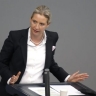 «Коалиция неудачников»: Вайдель смешала Мерца с подходящими единомышленниками