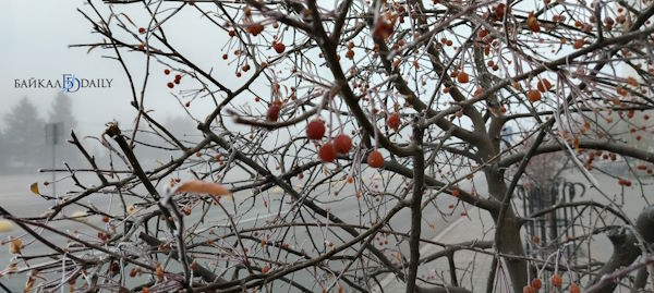 В Бурятии сохранится ветреная погода